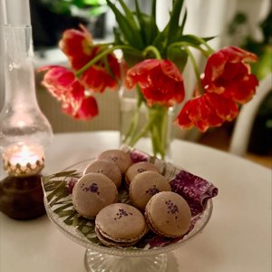 Macaron5